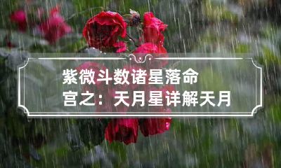 紫微斗数诸星落命宫之：天月星详解 天月星 子女宫