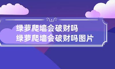 绿萝爬墙会破财吗 绿萝爬墙会破财吗图片