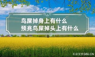 鸟屎掉身上有什么预兆 鸟屎掉头上有什么预兆 是福是祸