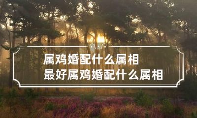 属鸡婚配什么属相最好 属鸡婚配什么属相最好忌什么配什么