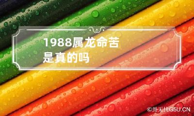 1988属龙命苦是真的吗