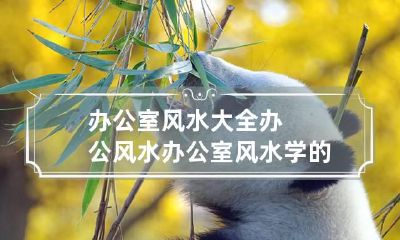 办公室风水大全办公风水 办公室风水学的讲究与禁忌