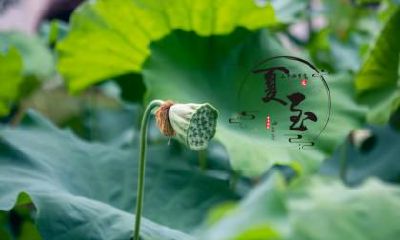 夏至过后还热吗？夏至为什么不是最热的一天？