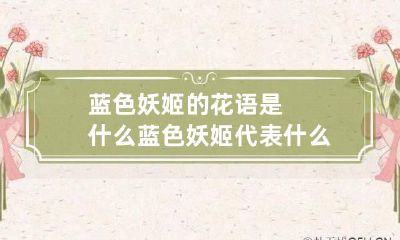 蓝色妖姬的花语是什么 蓝色妖姬代表什么含义