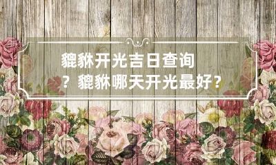 貔貅开光吉日查询？貔貅哪天开光最好？