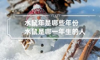 水鼠年是哪些年份 水鼠是哪一年生的人