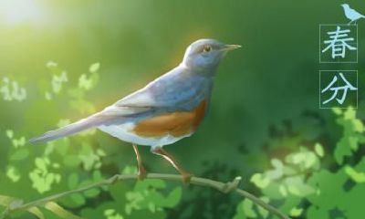 属狗人在2020年11月7日立冬节气结婚好吗？