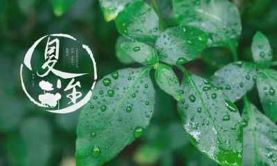 夏至代表什么？夏至是近日点还是远日点？