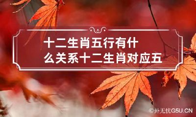 十二生肖五行有什么关系 十二生肖对应五行十二生肖五行对照表
