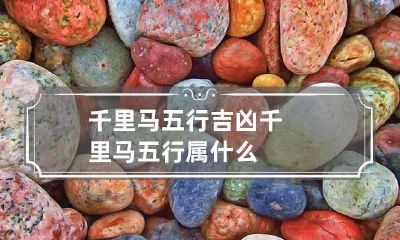千里马五行吉凶 千里马五行属什么