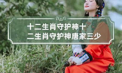 十二生肖守护神 十二生肖守护神唐家三少全文阅读