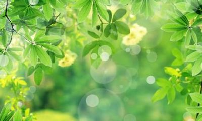 小暑的英语是什么？小暑节气的祝福语大全！