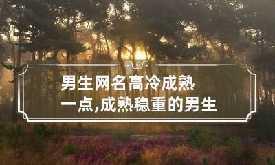 男生网名高冷成熟一点,成熟稳重的男生网名有哪些?