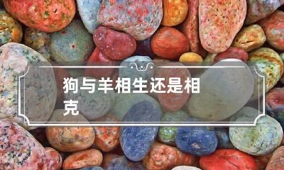 狗与羊相生还是相克