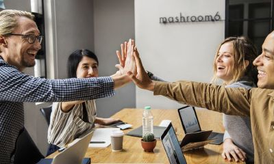 2019年，有望薪资增长，生活越来越好的生肖