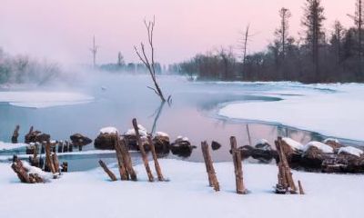夏至节气有什么相关的谚语民谚？