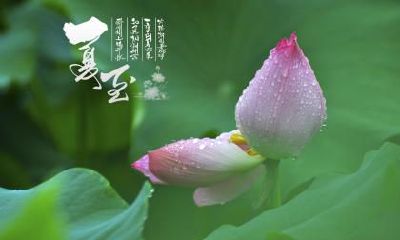 夏至为什么要吃面？夏至艾灸的好处是什么？