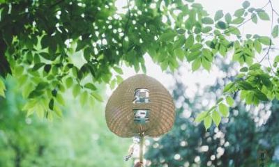 2020年夏至日是哪天？夏至诗句赏析