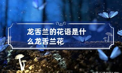 龙舌兰的花语是什么 龙舌兰 花