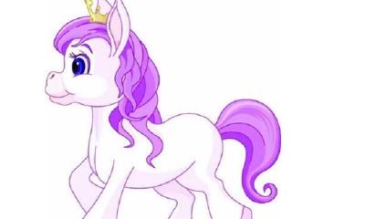 属马2018年运势及运程