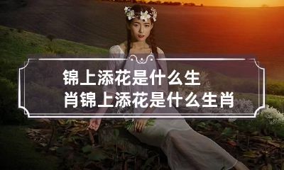 锦上添花是什么生肖 锦上添花是什么生肖应该是指生肖虎对吗,请给正确答案