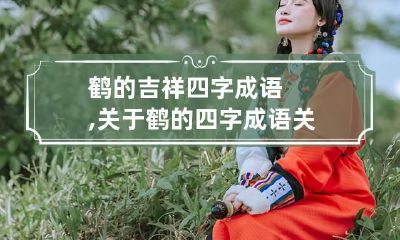 鹤的吉祥四字成语,关于鹤的四字成语 关于鹤的四字成语有哪些