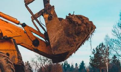 夏至为什么要斗蛋？夏至有哪些风俗和民俗活动？