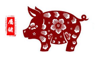 属猪2019年运势及运程