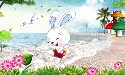 属兔2018年运势及运程