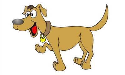 属狗2018年运势及运程（本命年）