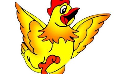 属鸡2018年运势及运程（害太岁）