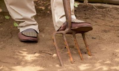 立冬和冬至哪个更早？老年人立冬要注意什么？