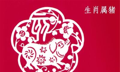 属猪人2018年全年运势