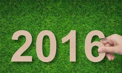 麦玲玲2016年生肖运程