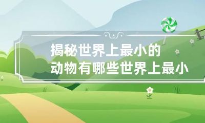 揭秘世界上最小的动物有哪些 世界上最小的动物是谁?