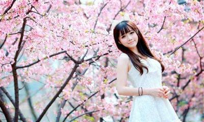 周易2016年生肖运势