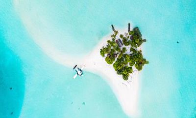 属兔2023几月出生最好 适合在农历六月出生