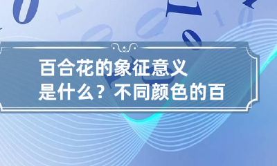 百合花的象征意义是什么？不同颜色的百合花花语是什么？