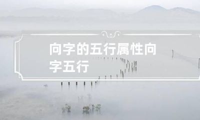 向字的五行属性 向字 五行