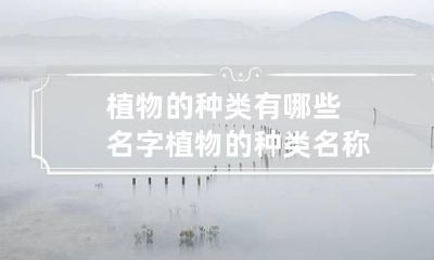 植物的种类有哪些名字 植物的种类名称