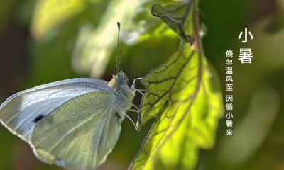 立冬节气有什么习俗？立冬是第几个节气？