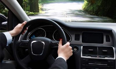 2014马年开车须谨慎的生肖