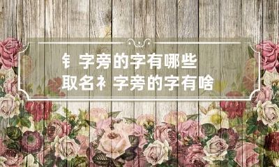 钅字旁的字有哪些取名 衤字旁的字有啥