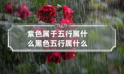 紫色属于五行属什么 黑色五行属什么