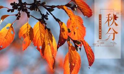 芒种前一个节气是什么？芒种是第几个节气？