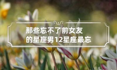 那些忘不了前女友的星座男 12星座最忘不了的前任星座