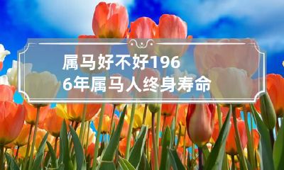 属马好不好 1966年属马人终身寿命