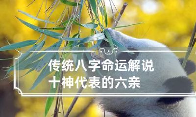 传统八字命运解说十神代表的六亲