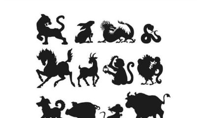 麦玲玲2012龙年运程