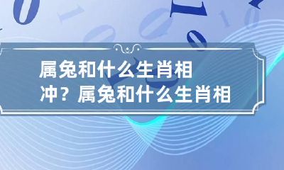 属兔和什么生肖相冲？ 属兔和什么生肖相冲最凶